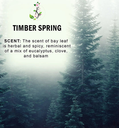 Timber Spring Body Lotion | Organic Body Cream | Shea Butter Lotion | Scented Lotion | Almond Body Lotion